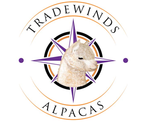 Tradewinds Alpacas
